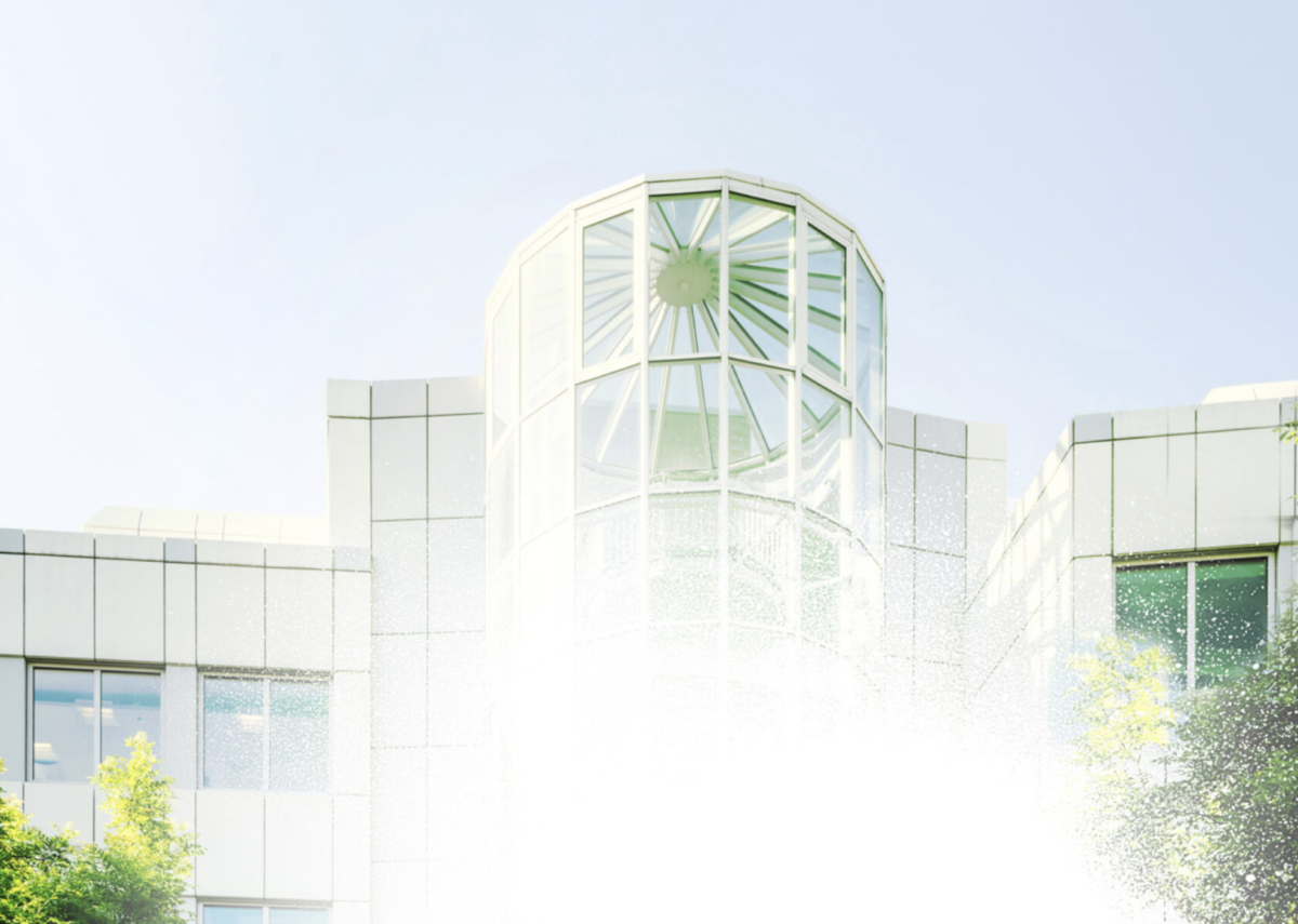 GoeldiWeb Portfolio – Mettiss AG, St.Gallen