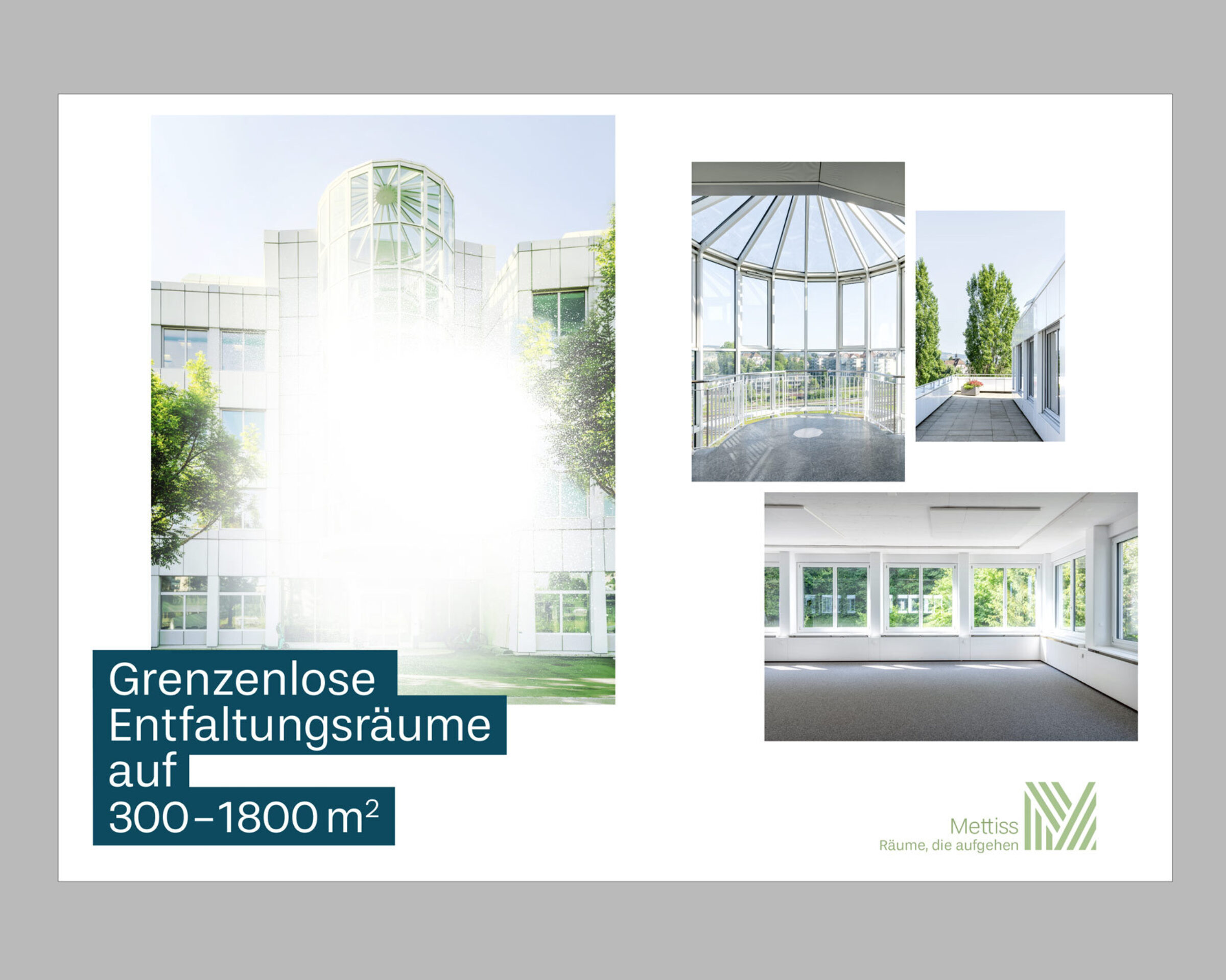 GoeldiWeb Portfolio – Mettiss AG, St.Gallen