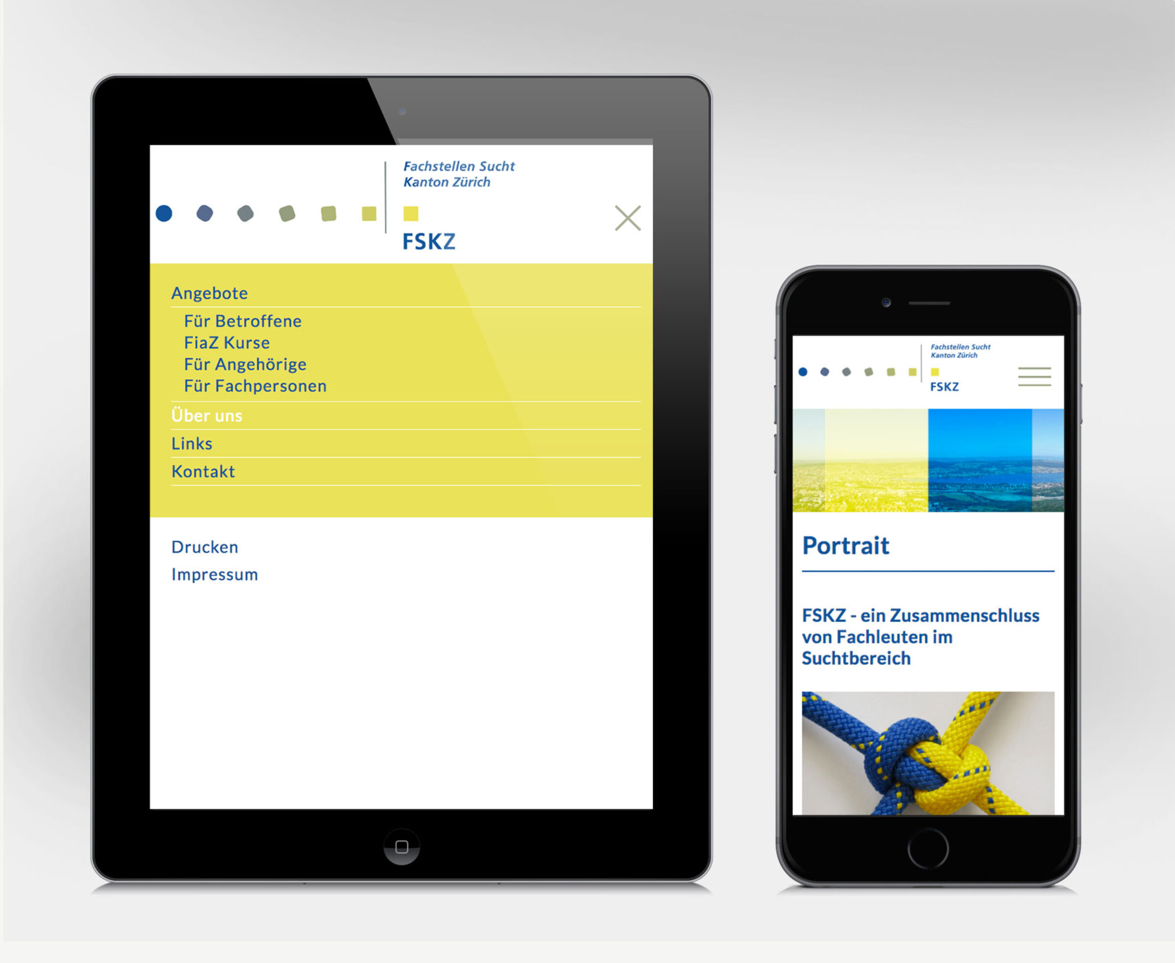 GoeldiWeb Portfolio – Fachstellen Sucht Kanton Zürich