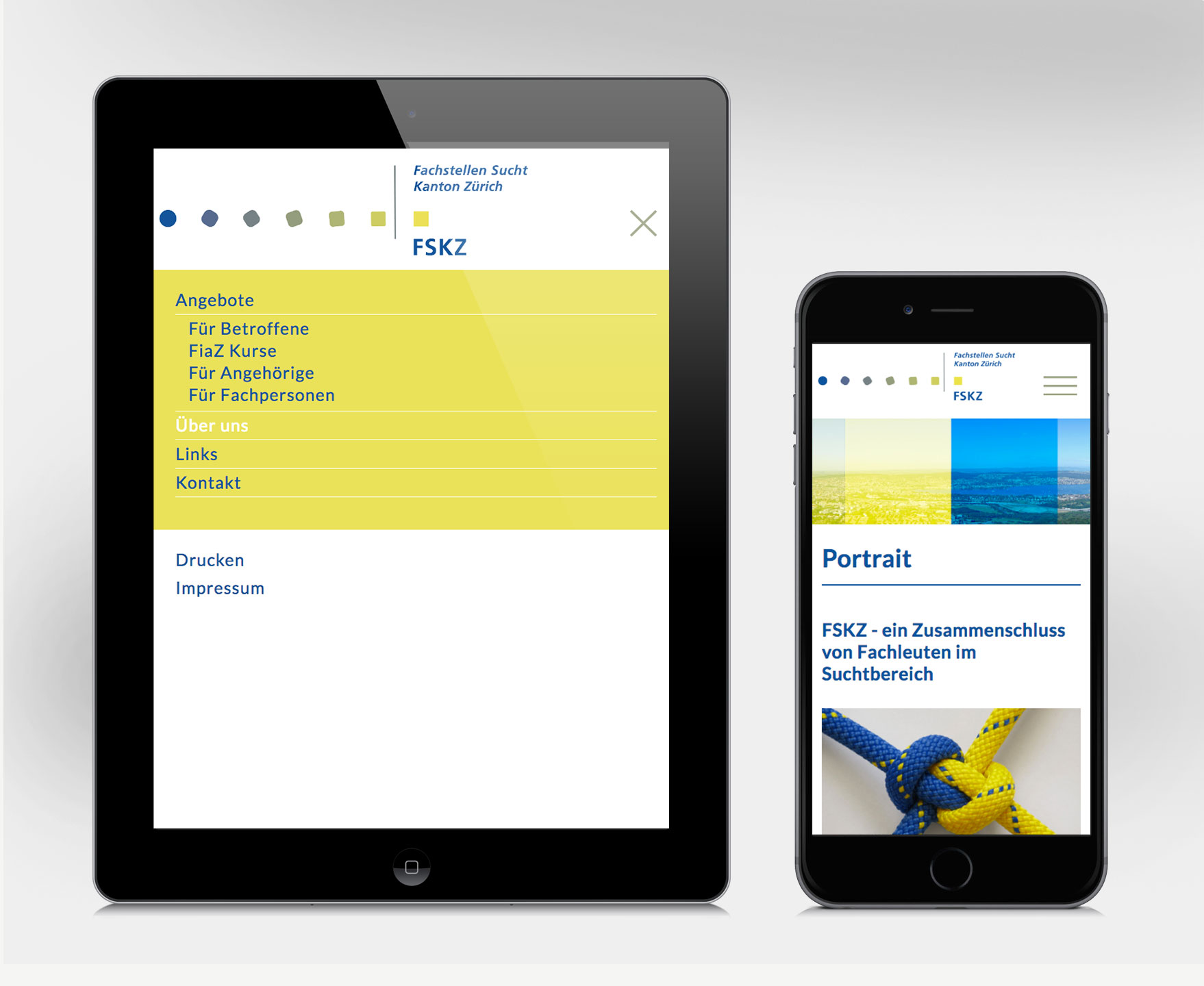 GoeldiWeb Portfolio - Fachstellen Sucht Kanton Zürich