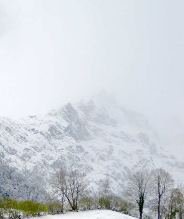 Goeldi Web, Glarus und Zürich