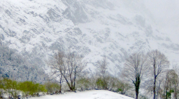 Goeldi Web, Glarus und Zürich